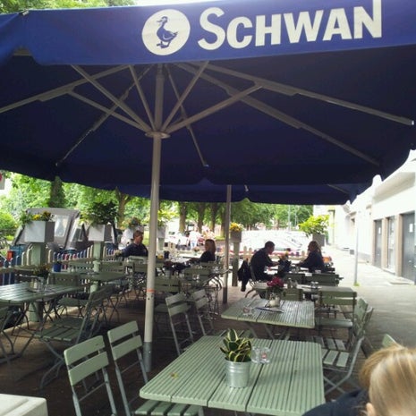 Schwan Derendorf