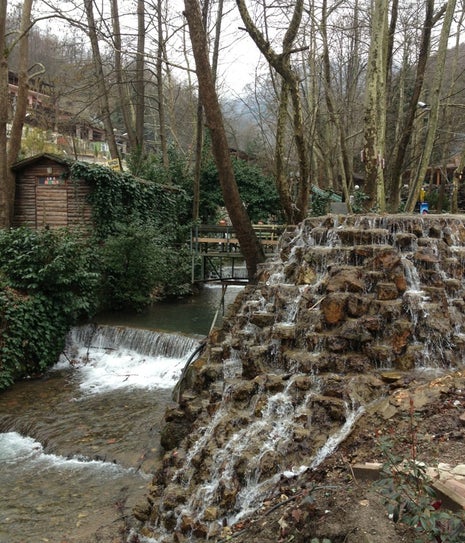 Değirmen Alabalık Tesisleri