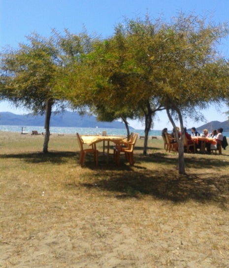 Suat'ın Yeri