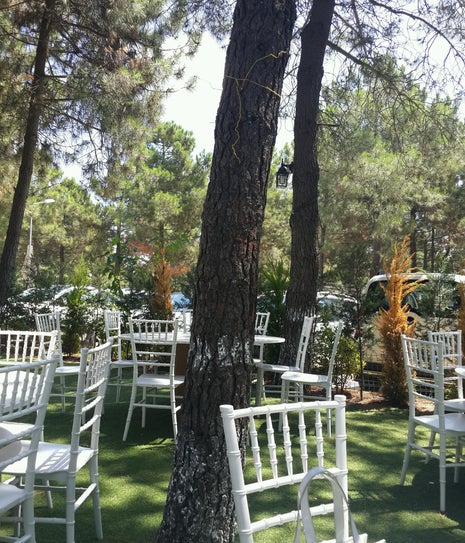 trabzon park ruzgar gulu