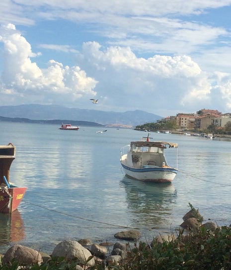 boşnak böreği simit evi