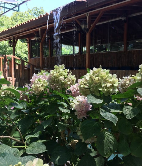 Küçükkale Kahvaltı Bahçesi