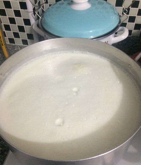 Süt Dünyası