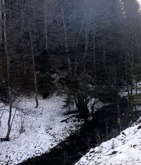 Abant Dere Kenari Restourant