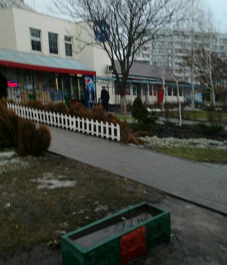 Кафе «Терра»