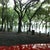Northeast Coachman Park Disc Golf Course Clearwater FL Northeast Coachman Park Disc Golf Course Clearwater FL