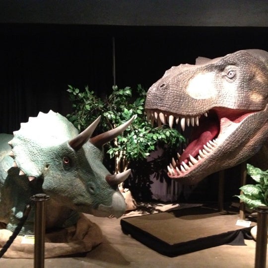 Children S Museum Of Natural Science Sugar Land Children S Museum Of Natural Science Sugar Land