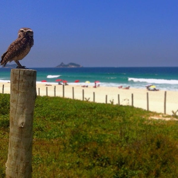 Where's Good? Holiday and vacation recommendations for Rio De Janeiro, Brazil. What's good to see, when's good to go and how's best to get there.