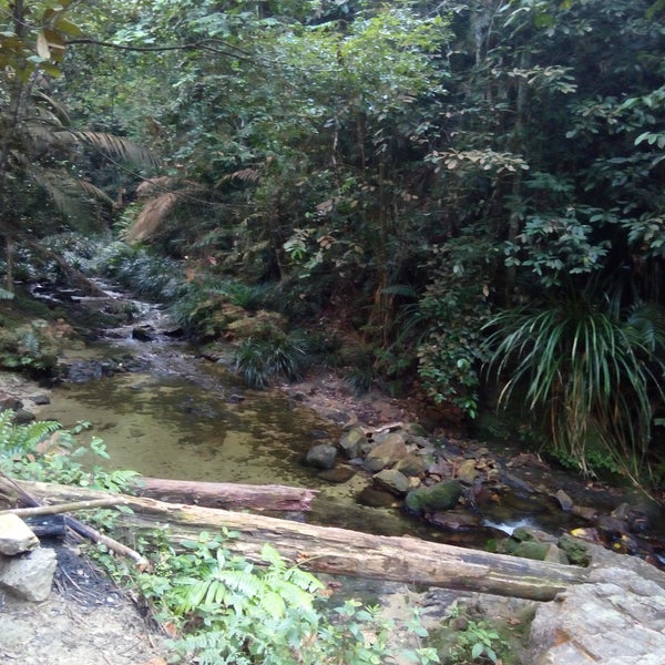 hutan simpanan ayer hitam