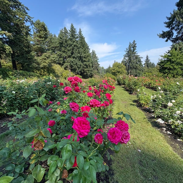 Washington Park Amphitheater