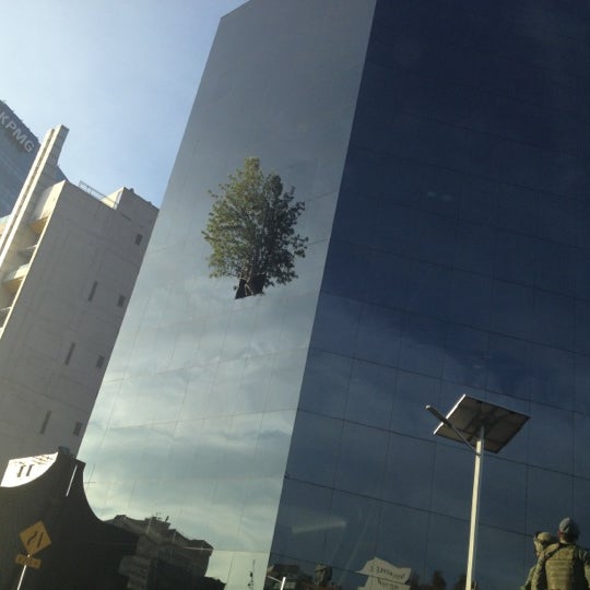 Torre del árbol Reforma Social Ciudad