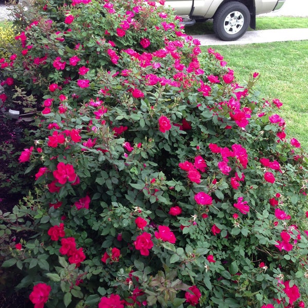 The Nations Neighborhood Neighborhood in Nashville