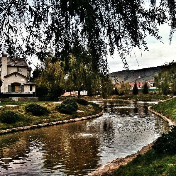 My Image 8