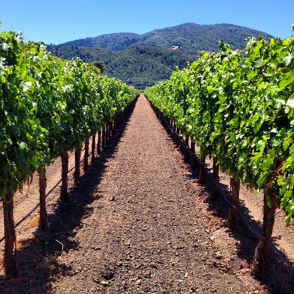 Where's Good? Holiday and vacation recommendations for Napa Valley, United States. What's good to see, when's good to go and how's best to get there.