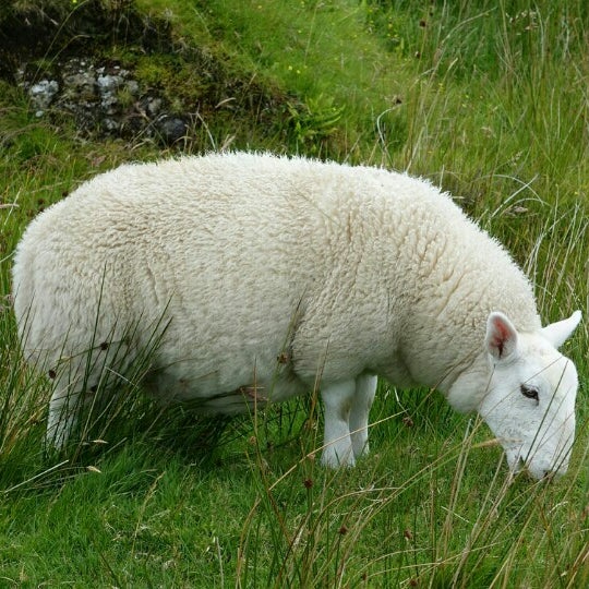 Isle of Skye - 14 tips