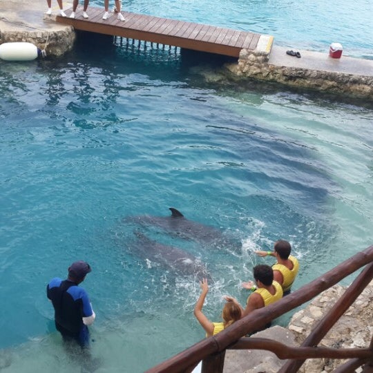 Where's Good? Holiday and vacation recommendations for Cozumel, Messico. What's good to see, when's good to go and how's best to get there.