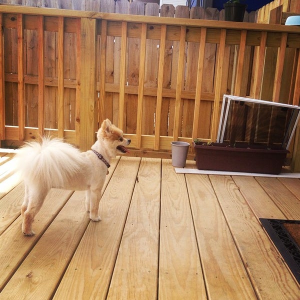 The Nations Neighborhood Neighborhood in Nashville