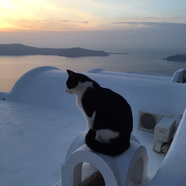 Where's Good? Holiday and vacation recommendations for Santorini Island, Greece. What's good to see, when's good to go and how's best to get there.