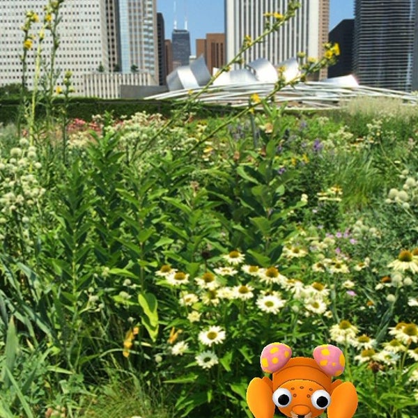 Where's Good? Holiday and vacation recommendations for Chicago, United States. What's good to see, when's good to go and how's best to get there.