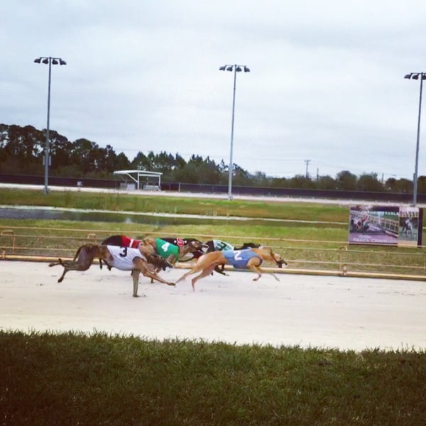 Kennel Club Poker Room Daytona Beach