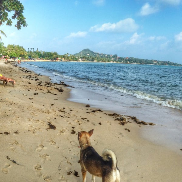 Лучшие пляжи на Ко Самуи