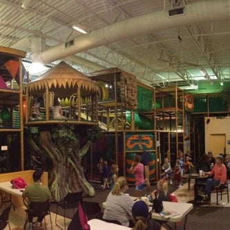 jungle java jungle java
