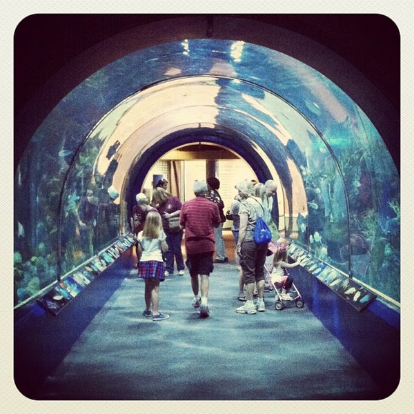 Audubon Aquarium of the Americas French Quarter 106 tips