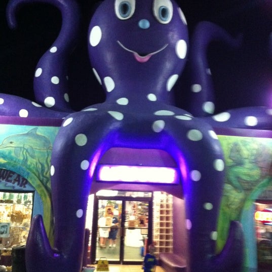 purple octopus 6 tips from 425 visitors purple octopus 6 tips from 425 visitors