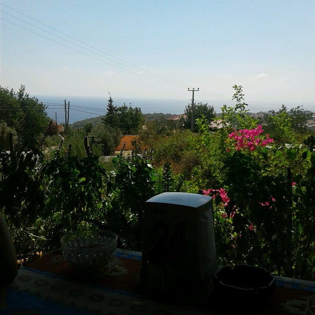 kahvaltı fotografı