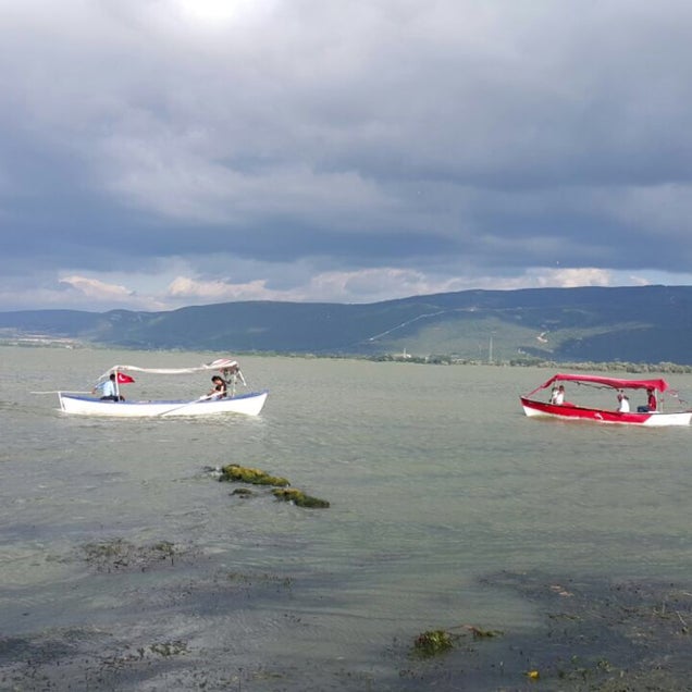 kahvaltı fotografı