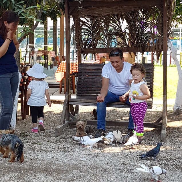 kahvaltı fotografı