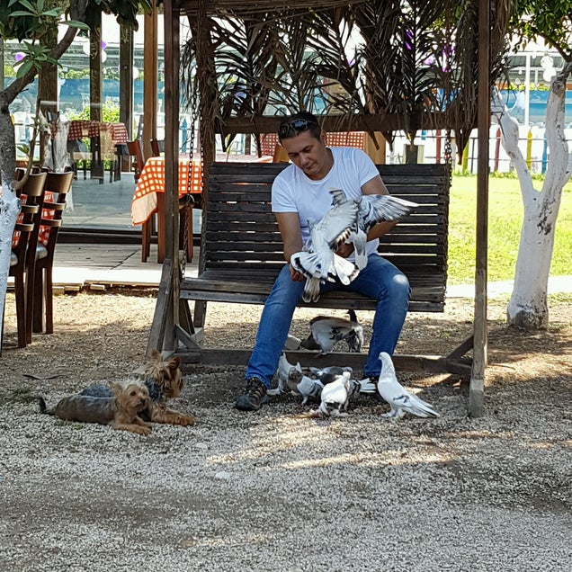 kahvaltı fotografı