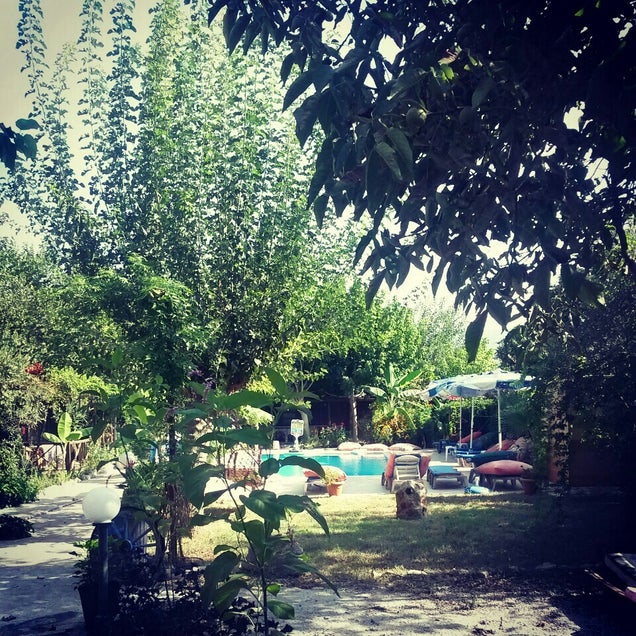 kahvaltı fotoğrafı