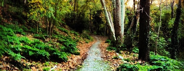 Yıldız Parkı is one of Türkiye'de Gezilmesi- Görülmesi Gereken Yerler.