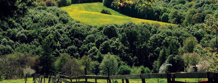 Polonezköy is one of Türkiye'de Gezilmesi- Görülmesi Gereken Yerler.