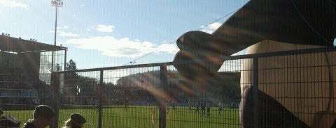 fussball regionalliga bayern fussball regionalliga bayern
