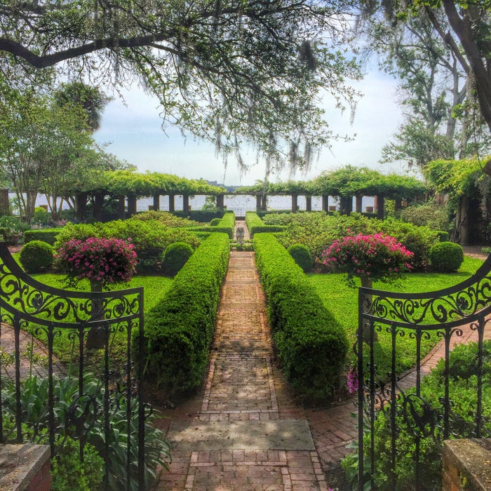 The Cummer Museum of Arts and Gardens reviews, photos Downtown