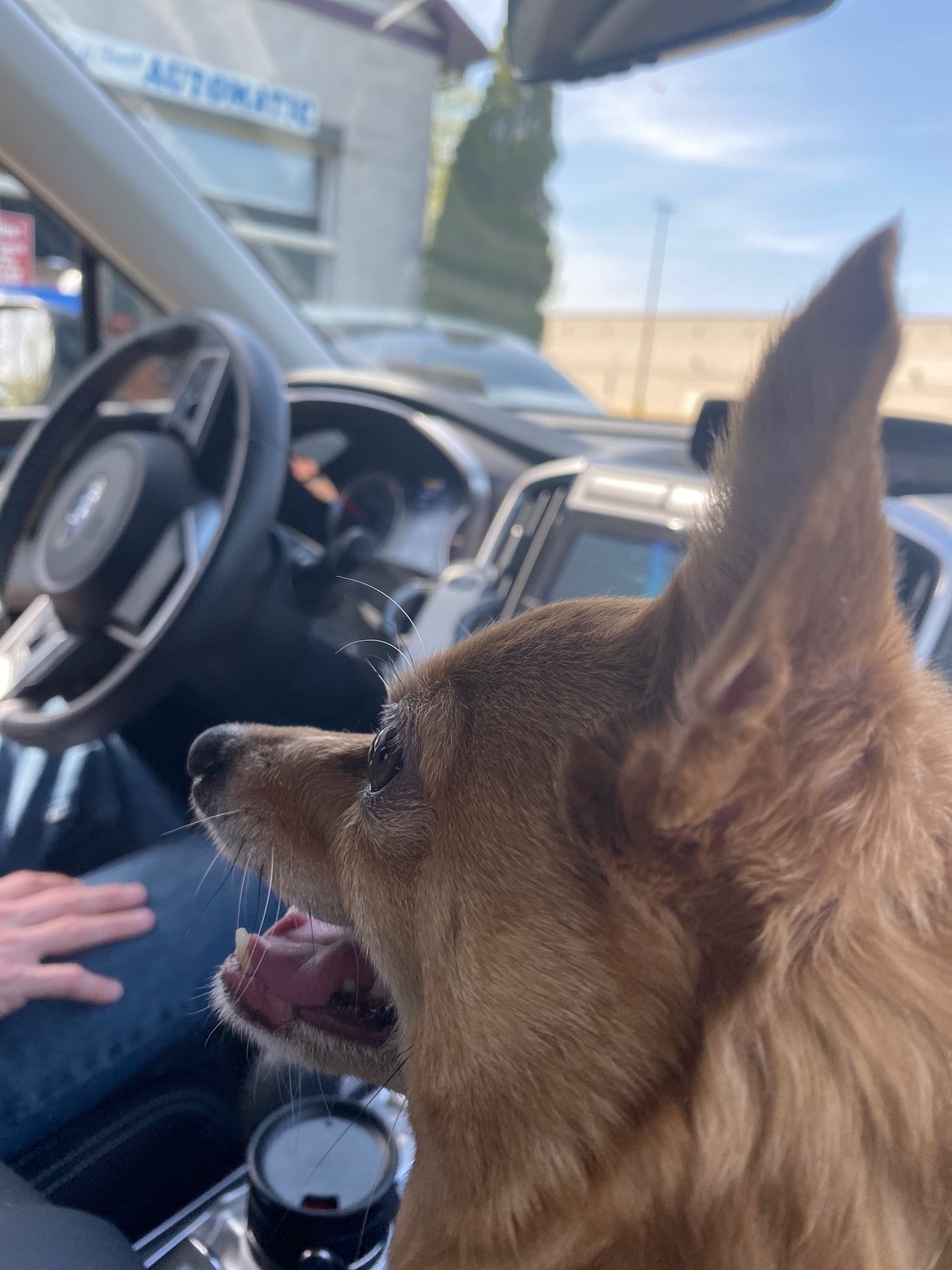 Prospect Ultra Car Wash