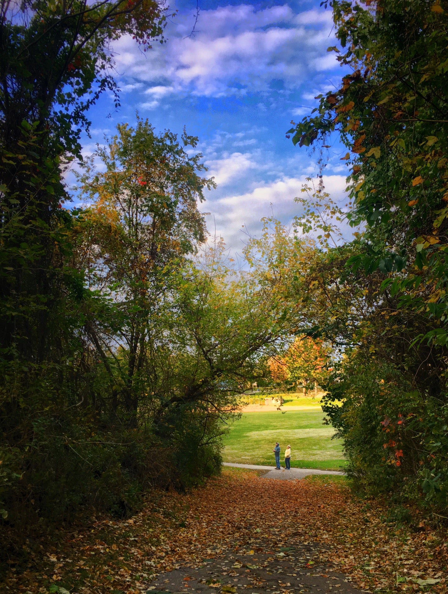Sutcliffe Park