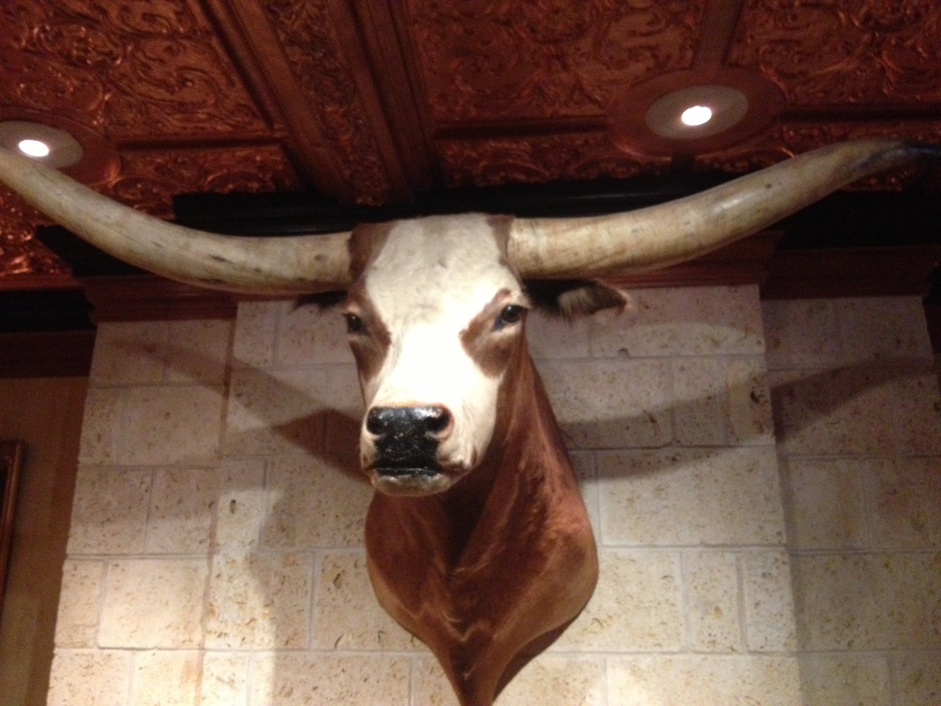 The Driskill Grill