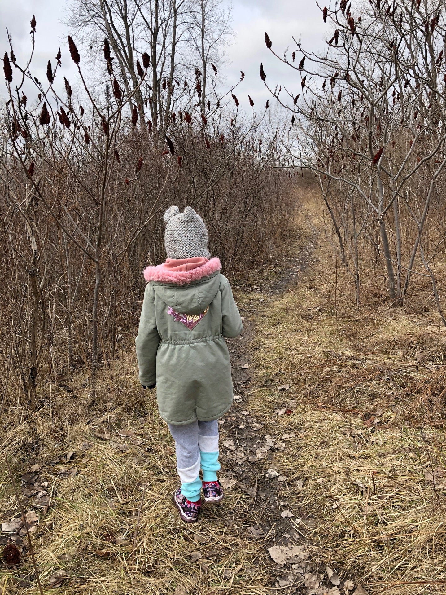 William Tucker County Park