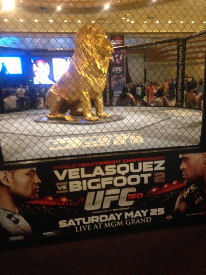 MGM Grand Hotel & Casino