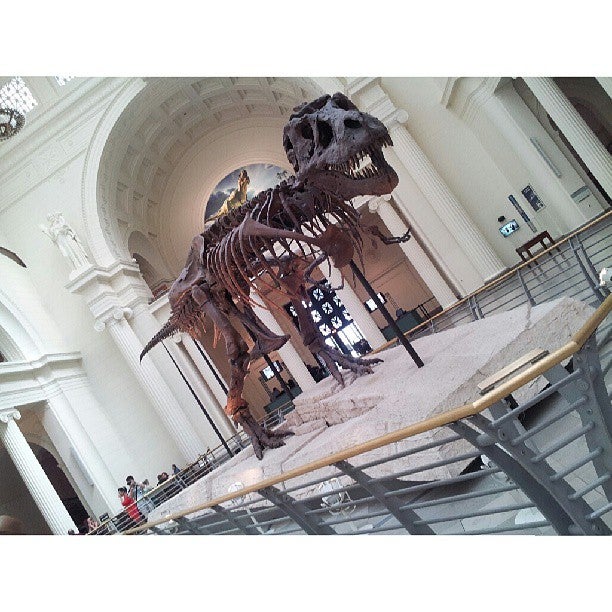 Field Museum