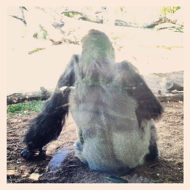San Diego Zoo