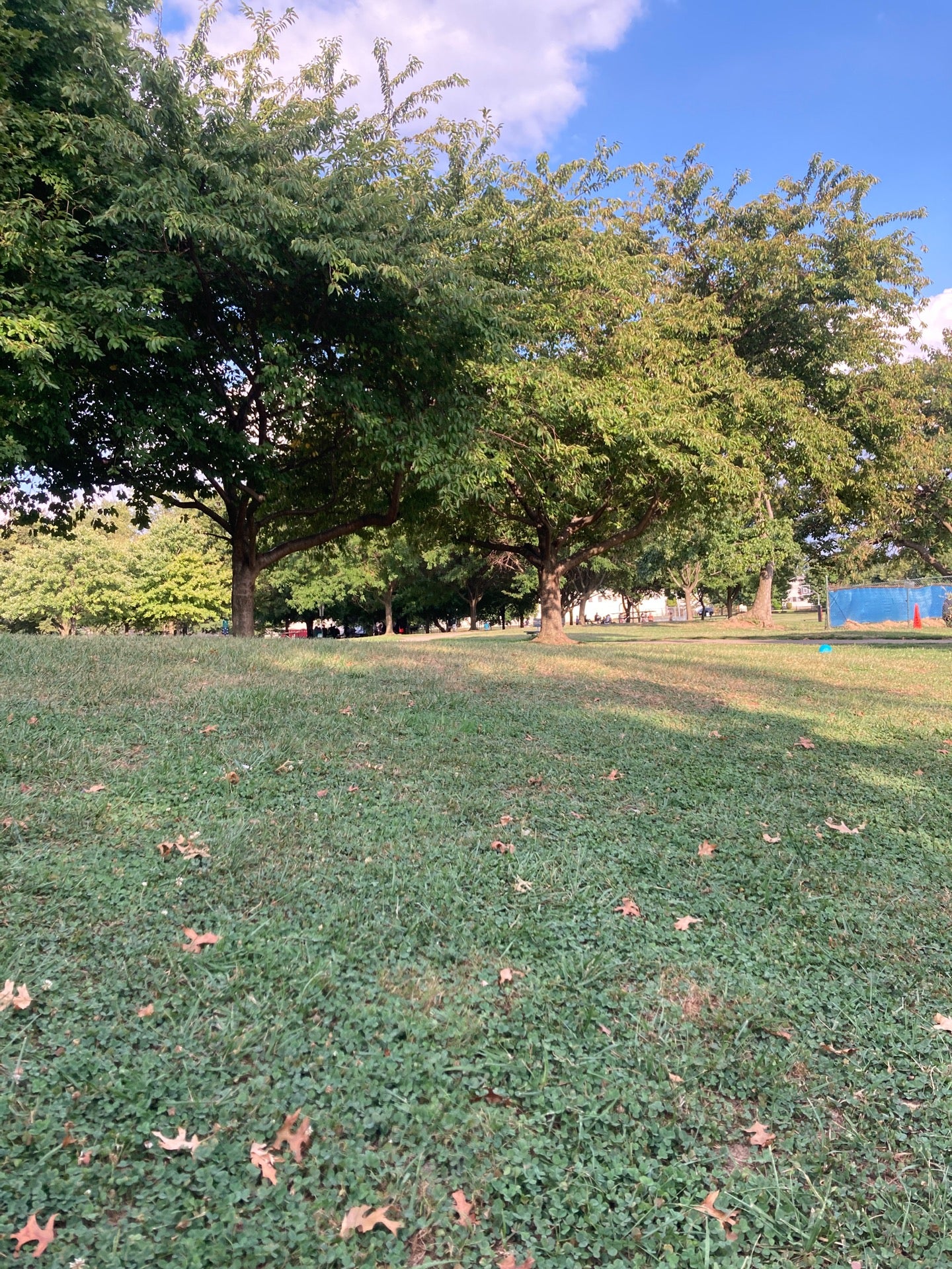 Yeadon Community Park