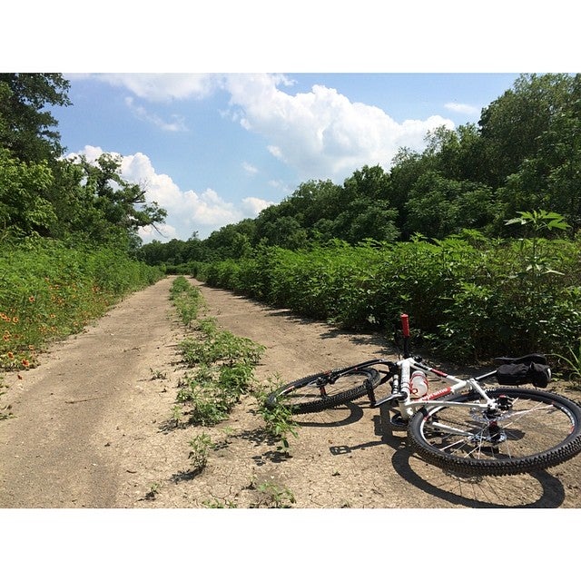 Davis White Northeast District Park