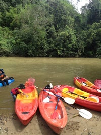 Kuching Kayaking