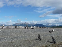 Isla Martillo, Argentina