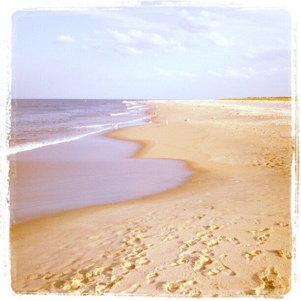 Gunnison Beach Sandy Hook Photos Gaycities New York