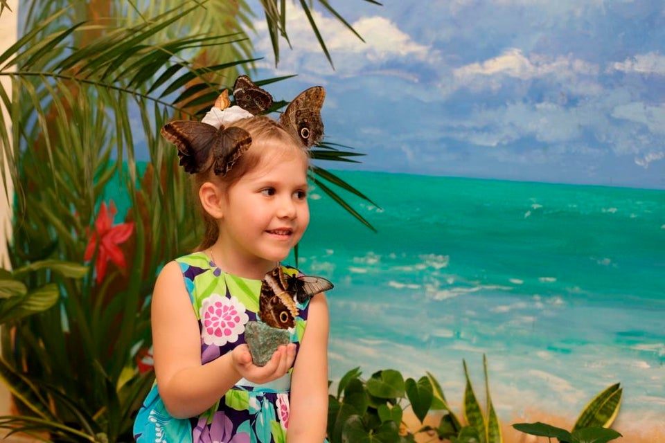 Музей живых бабочек тропический рай фото